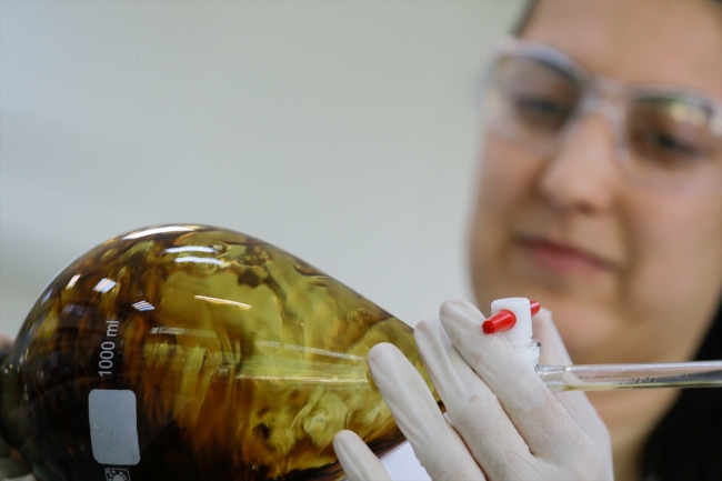 Kansere "pelemir otu" çare olacak